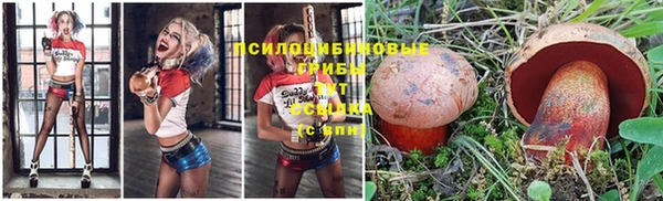 ALPHA PVP Бугульма