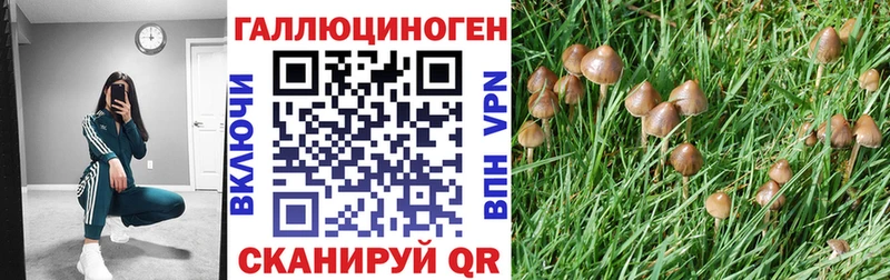 Псилоцибиновые грибы Psilocybine cubensis  где найти наркотики  Задонск 